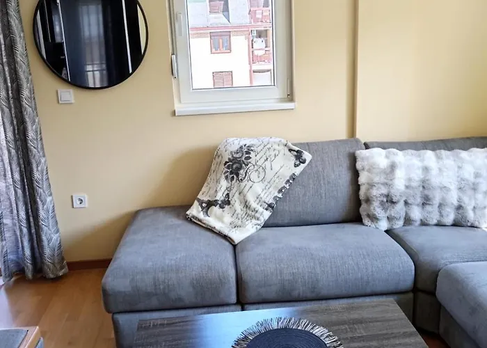 Pezerovic * 索科矿泉村