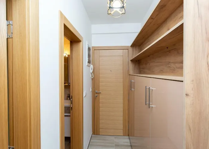 Pezerovic 公寓 索科矿泉村