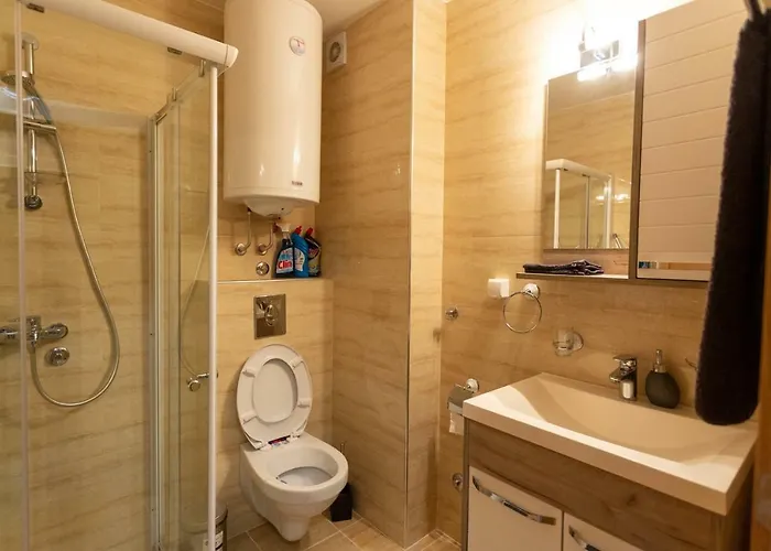 Pezerovic * 索科矿泉村