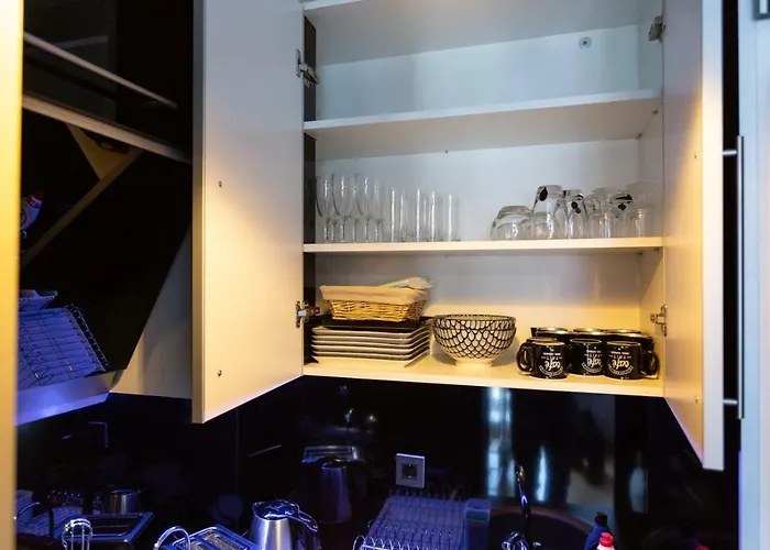 Pezerovic 索科矿泉村